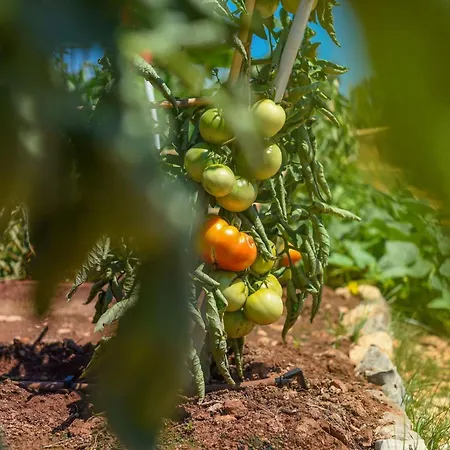 Mobilheim Direkt Am By Interhome * أوغليان