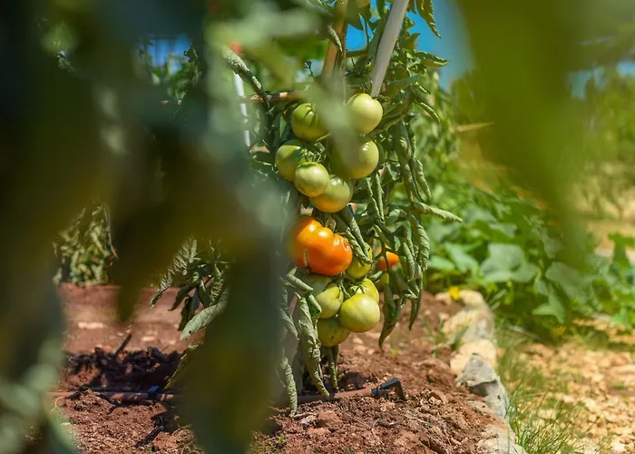 Mobilheim Direkt Am By Interhome * ウグリャン